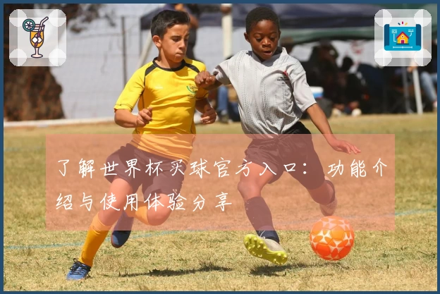了解世界杯买球官方入口：功能介绍与使用体验分享
