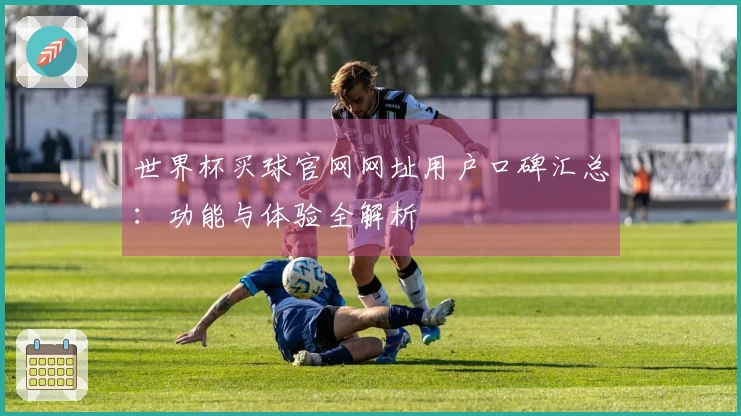 世界杯买球官网网址用户口碑汇总：功能与体验全解析