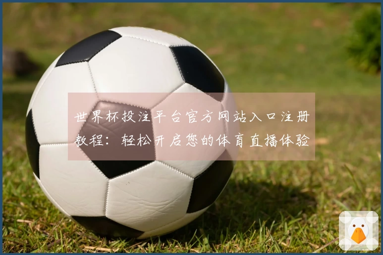 世界杯投注平台官方网站入口注册教程：轻松开启您的体育直播体验